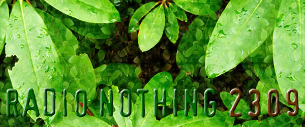 Radio Nothing 2309