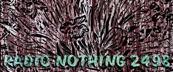 Radio Nothing 2498