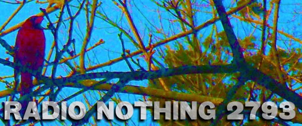 Radio Nothing 2793