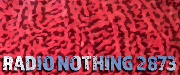 Radio Nothing 2873
